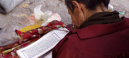 S.E.R. Foundation NL Startseite