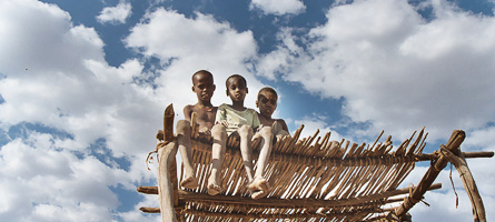 S.E.R. Foundation NL